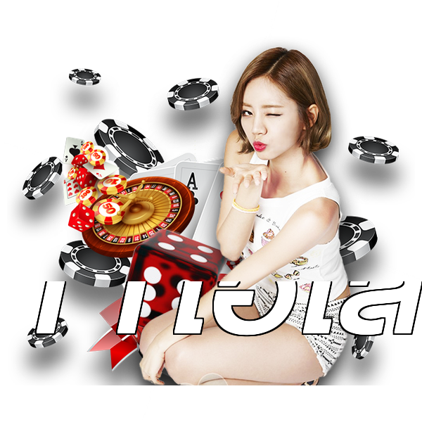 11ไฮโล